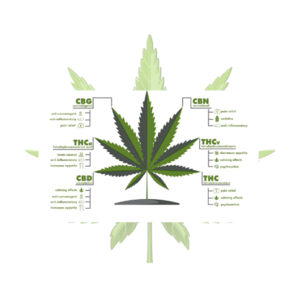 Buy Cannabinoids Online