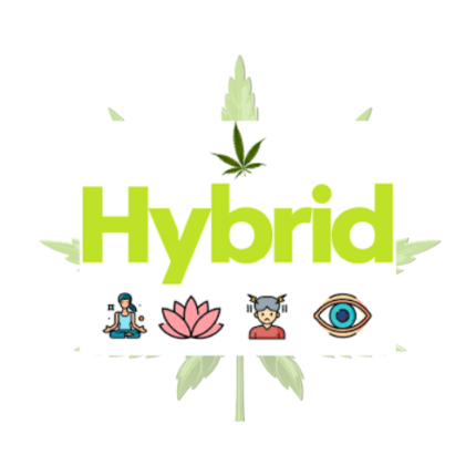 Hybrid