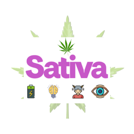 Sativa